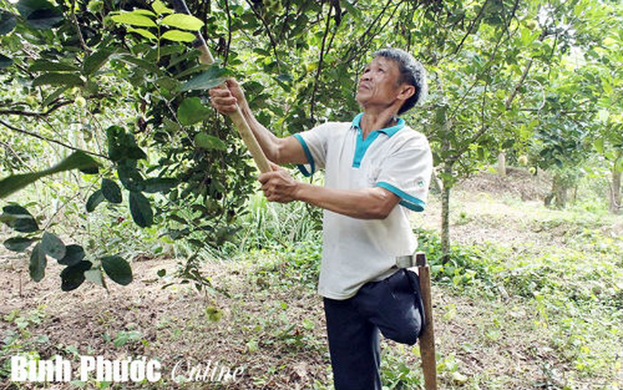 Chum anh: Nhung thuong binh vuot kho lam giau-Hinh-6