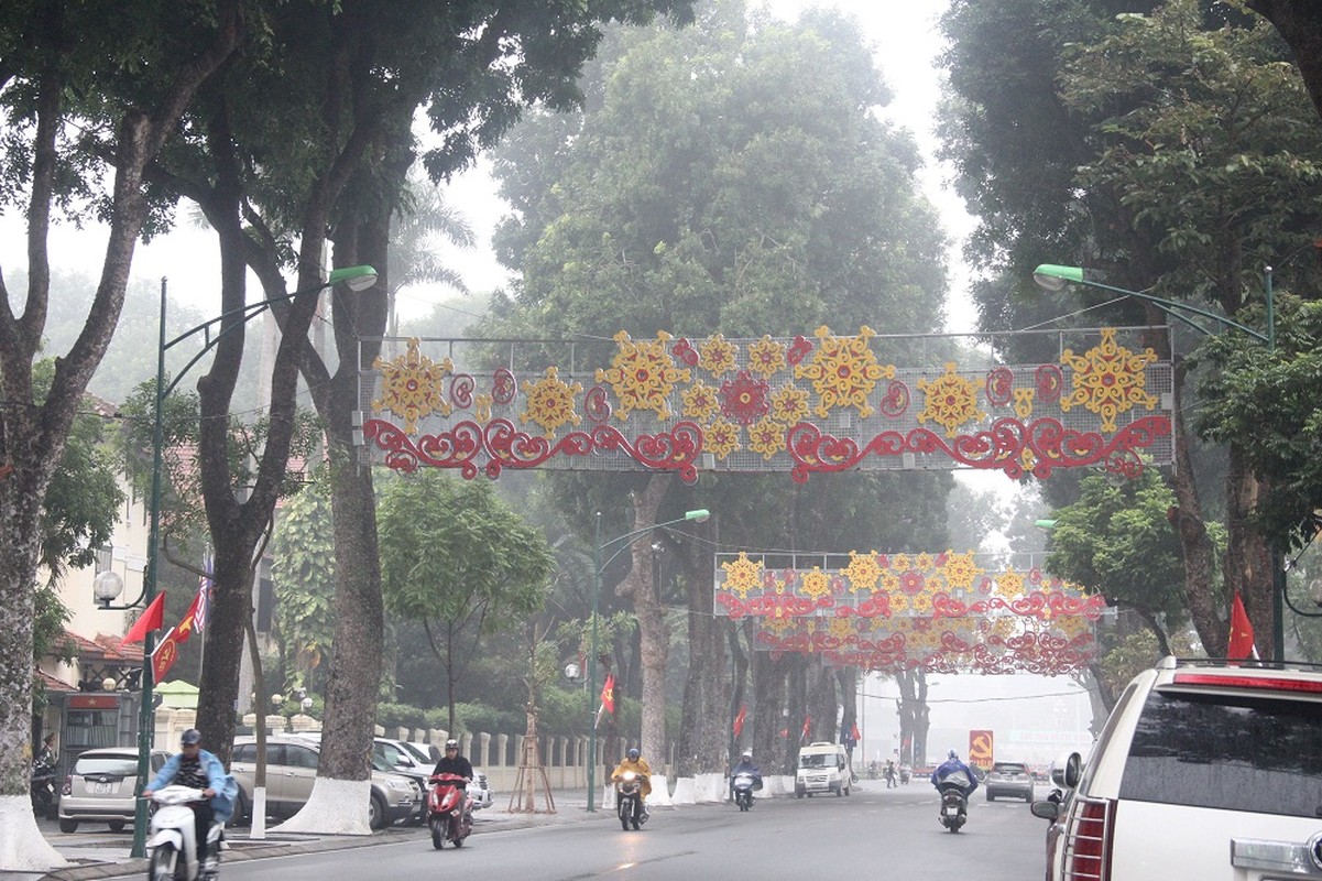 Ha Noi trang hoang ruc sang mung DH Dang lan thu XII-Hinh-14