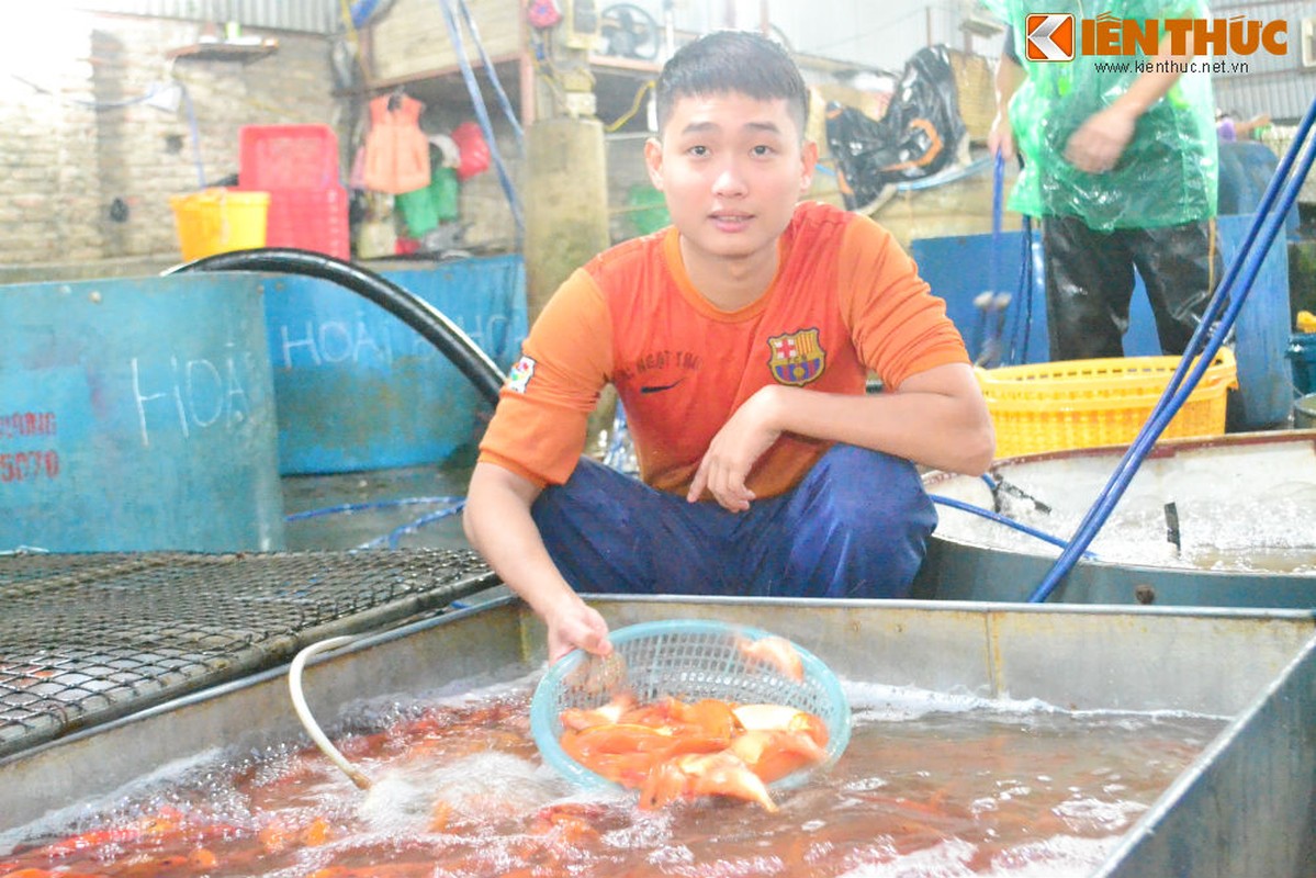 Cho ca lon nhat Ha Noi tap nap truoc ngay cung ong Cong ong Tao-Hinh-7