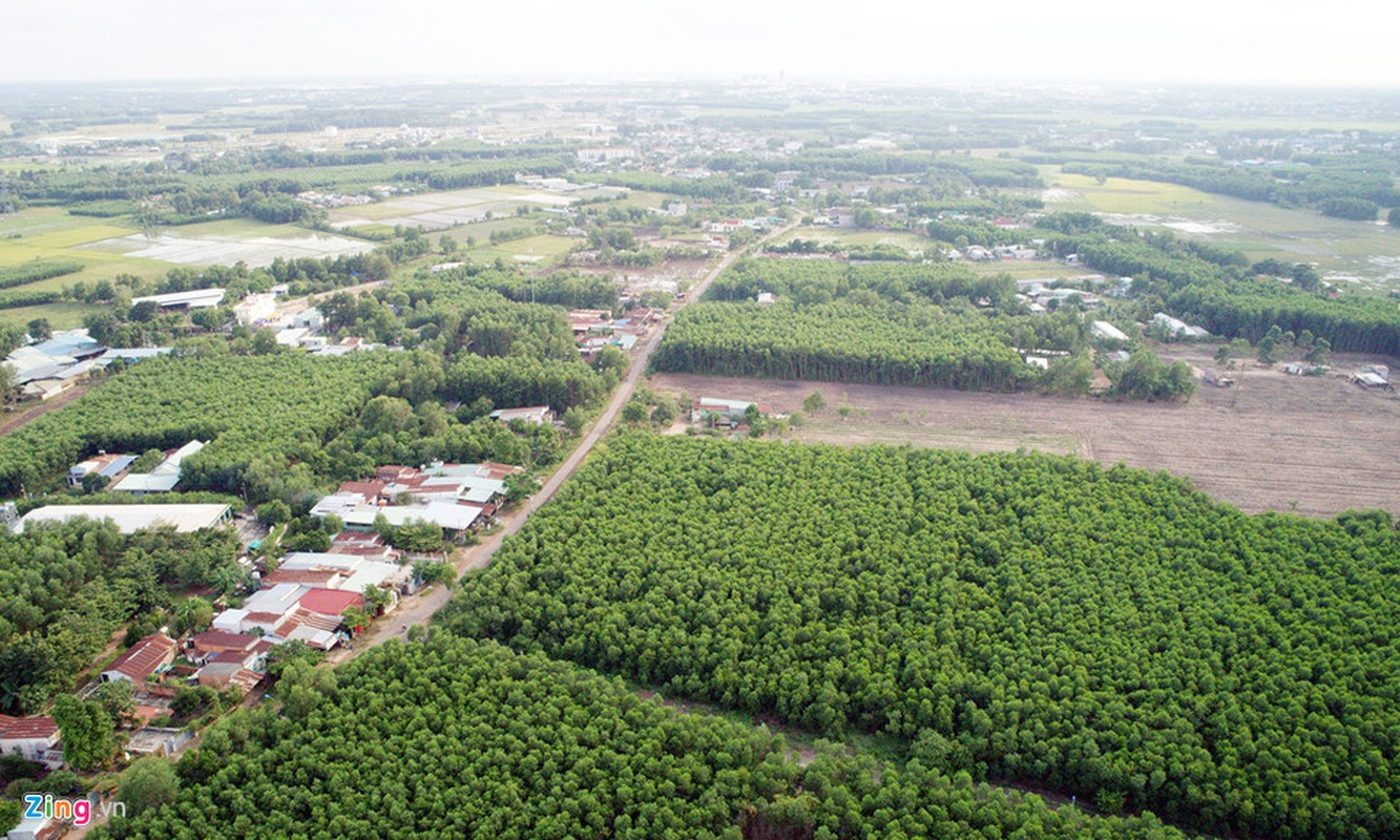 Phan lo ban nen an theo san bay Long Thanh, lieu co nhu Nhon Trach?-Hinh-3