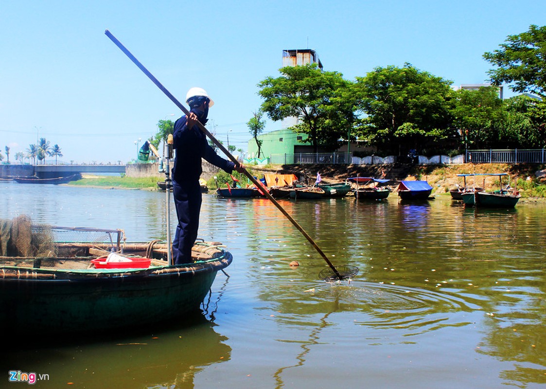 Ca chet noi trang song Phu Loc o Da Nang-Hinh-6