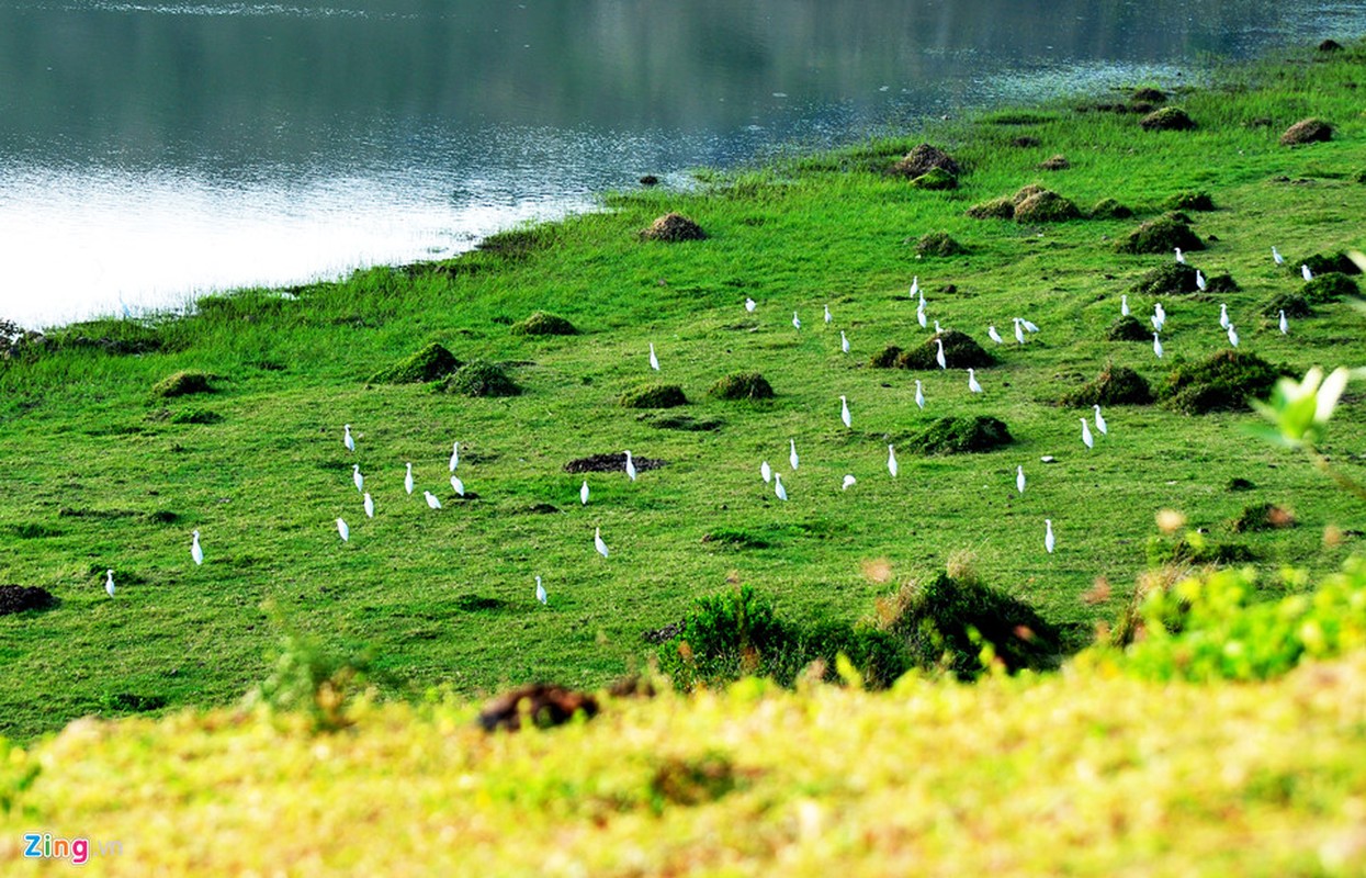 Can canh hang loat mieng nui lua co o vung bien Quang Ngai-Hinh-6