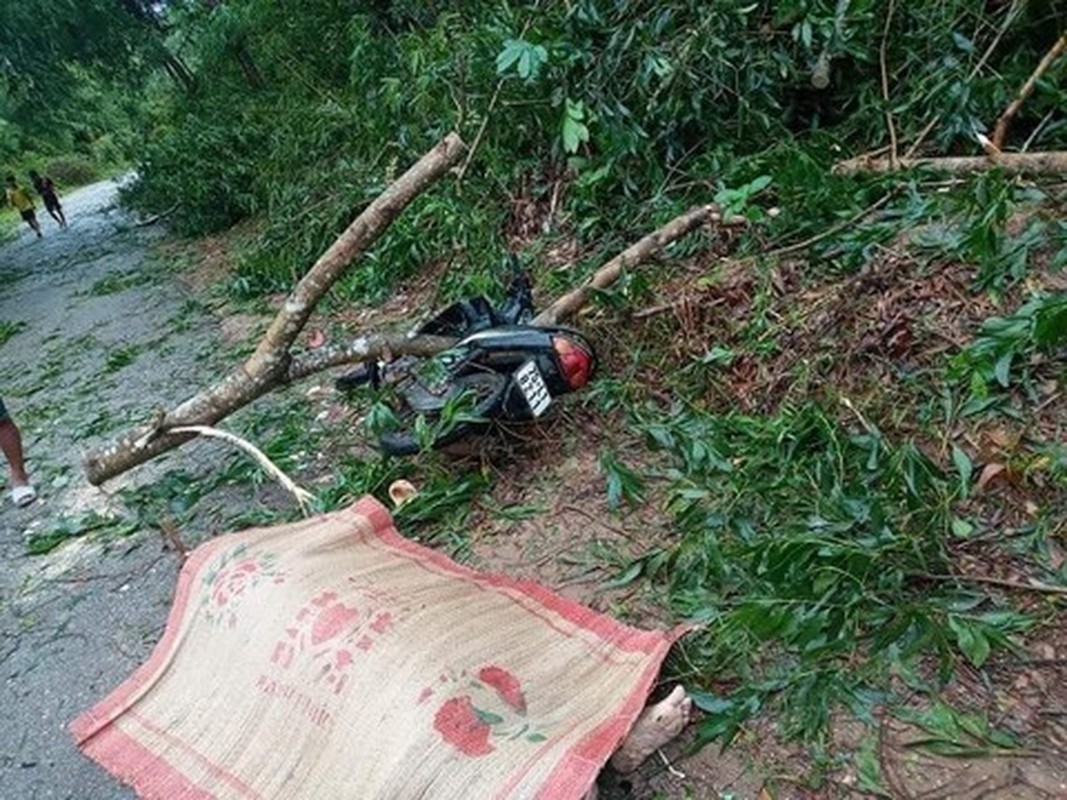 Loat anh Thua Thien - Hue ngon ngang sau bao