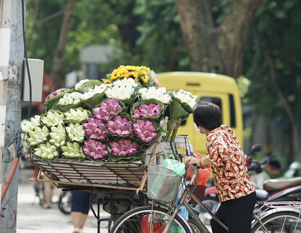 That thu vi vang nguoi chup anh, chu vuon nang gia sen de... go von-Hinh-11