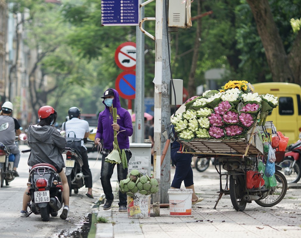 That thu vi vang nguoi chup anh, chu vuon nang gia sen de... go von-Hinh-2