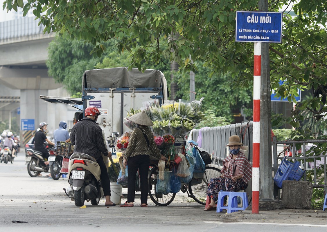 That thu vi vang nguoi chup anh, chu vuon nang gia sen de... go von-Hinh-7