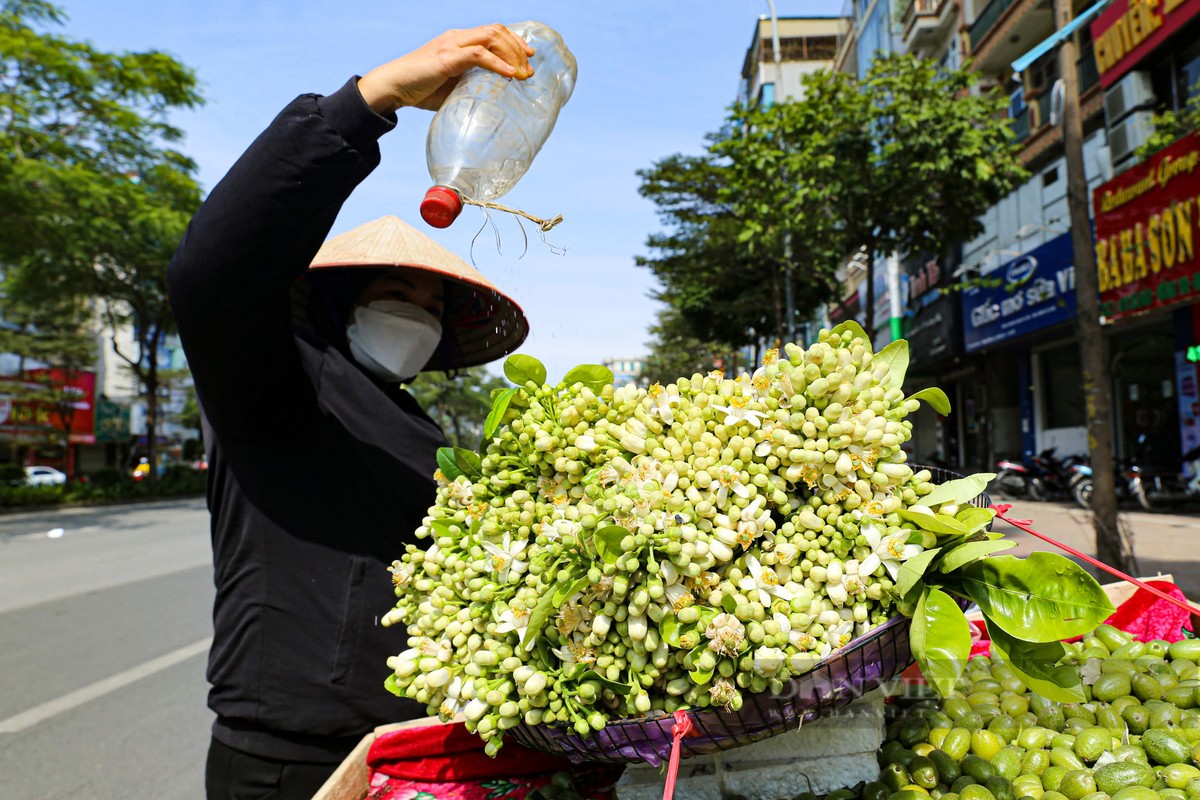 Mua hoa buoi ngat huong o Ha Noi-Hinh-8