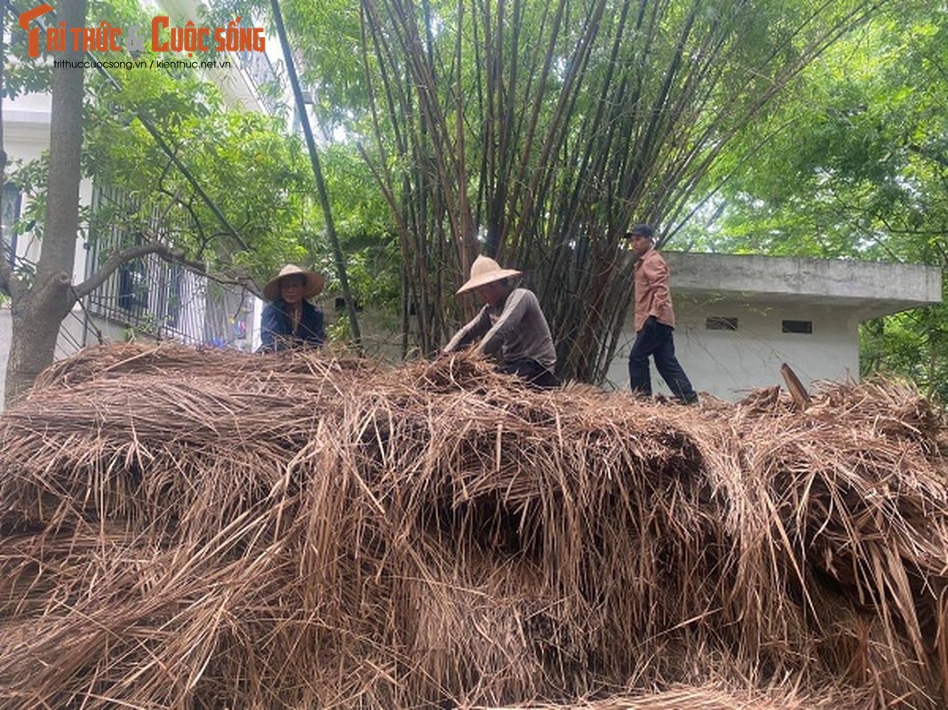 Ngoi nha cua nguoi Ha Nhi duoc sua chua ngay giua long Ha Noi-Hinh-2