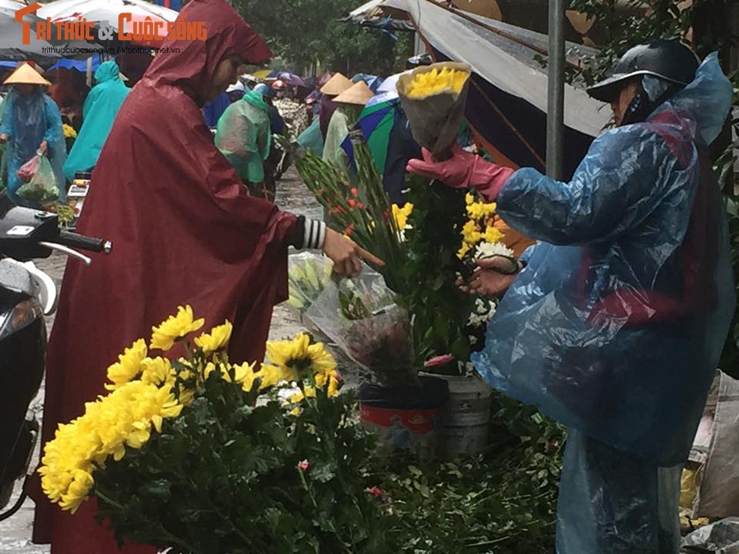 Nguoi Ha Noi doi mua ret sam le cung ram cuoi cung nam 2016