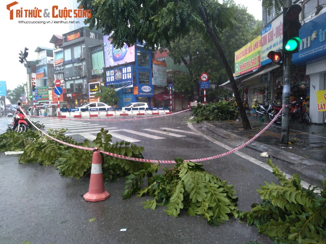 Hang loat cay xanh tren pho Ha Noi bat goc sau bao so 3-Hinh-11