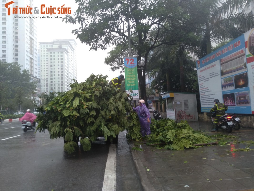 Hang loat cay xanh tren pho Ha Noi bat goc sau bao so 3-Hinh-14