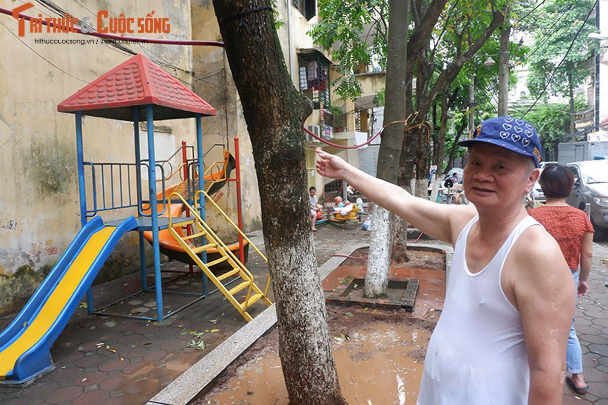 Hang cay sua tien ty rung la nhu mua, nguoi dan hoang mang tim ly do-Hinh-7