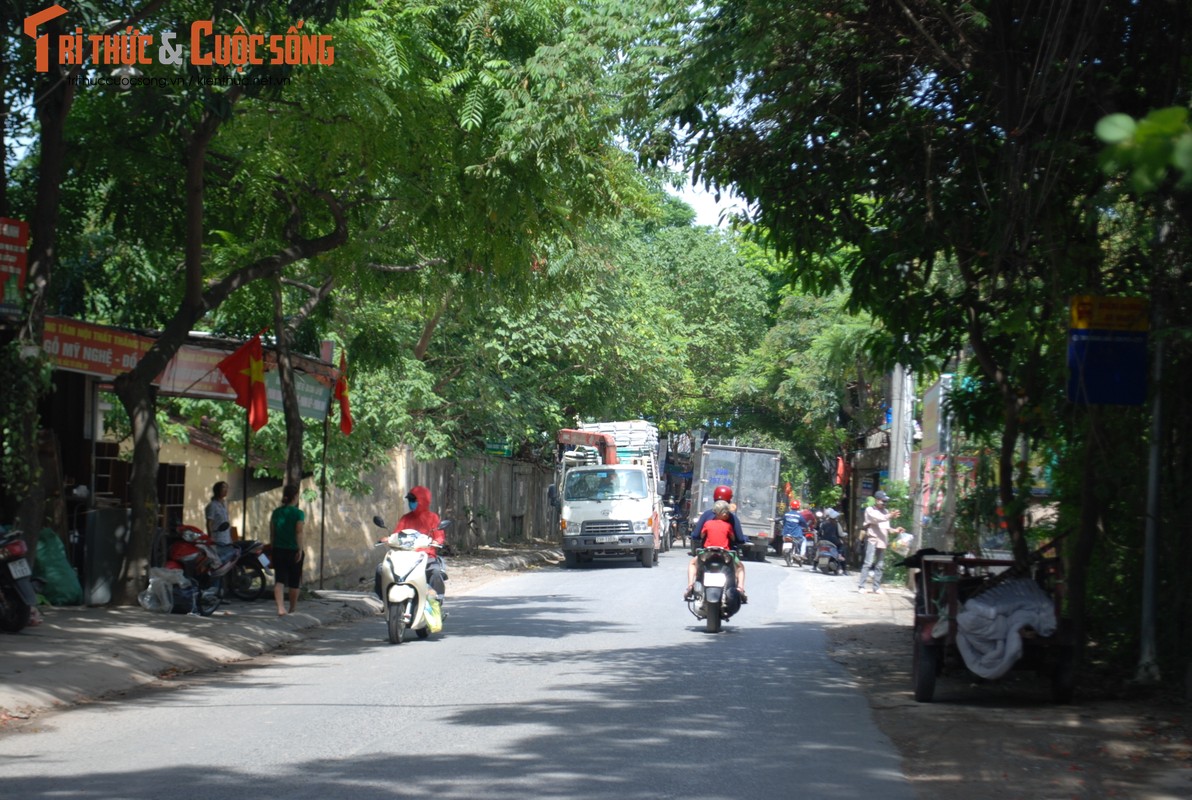 Ha Noi: Dan 