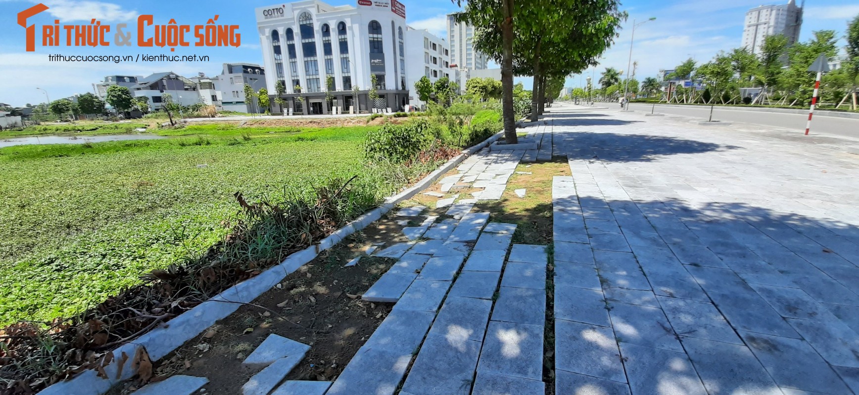 Via he dai lo hoanh trang bac nhat Thanh Hoa nham nho, sut lun-Hinh-2