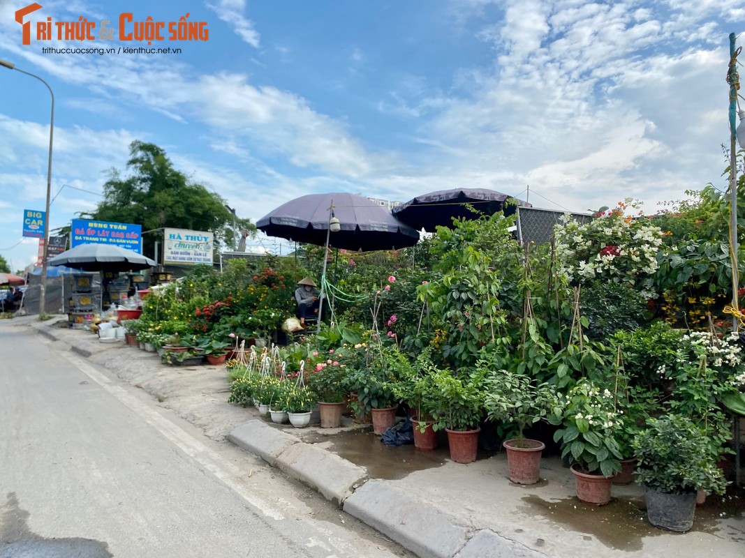 Ha Noi: Muon kieu lan chiem long duong, via he tren duong Nguyen Xien-Hinh-7