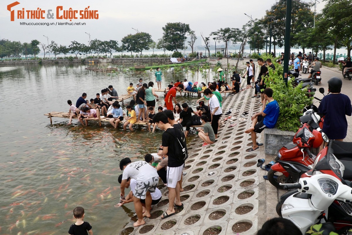 8 tan ca Koi tha xuong Ho Tay thu hut nguoi dan toi vui choi