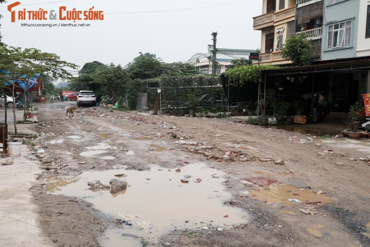 Ha Noi: Can canh con duong cu mua la ngap-Hinh-6