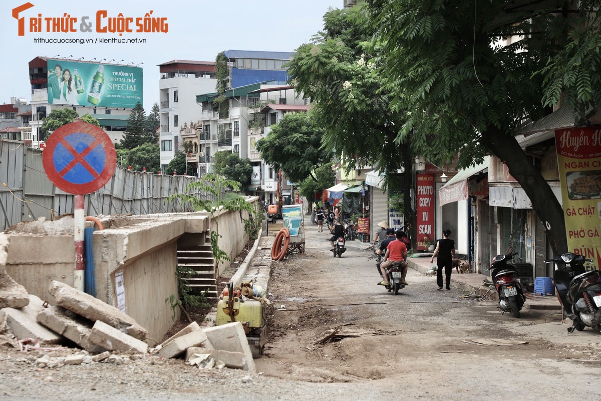 Ha Noi: Da vao mua mua lu, de huu Hong van cham tien do-Hinh-2