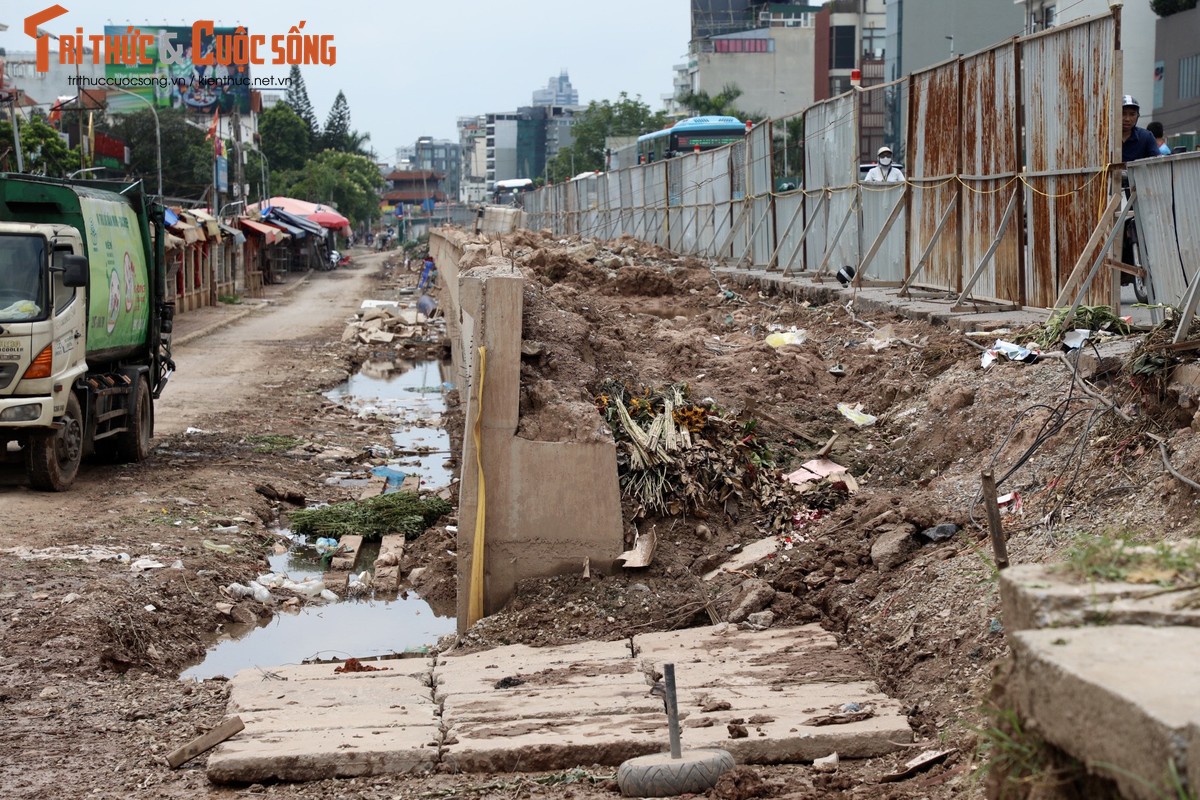 Ha Noi: Da vao mua mua lu, de huu Hong van cham tien do-Hinh-3