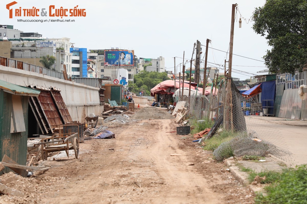 Ha Noi: Da vao mua mua lu, de huu Hong van cham tien do-Hinh-7