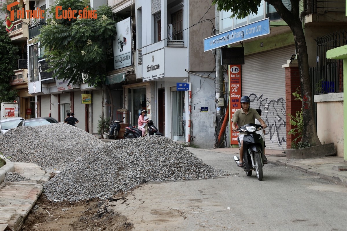 Ha Noi: Da vao mua mua lu, de huu Hong van cham tien do-Hinh-8