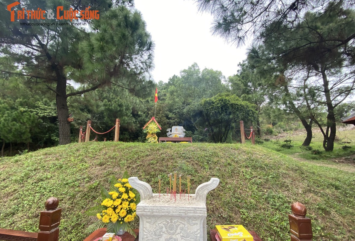 View - 	Ngắm mai vàng nở rộ bên khu mộ Đại tướng Võ Nguyên Giáp