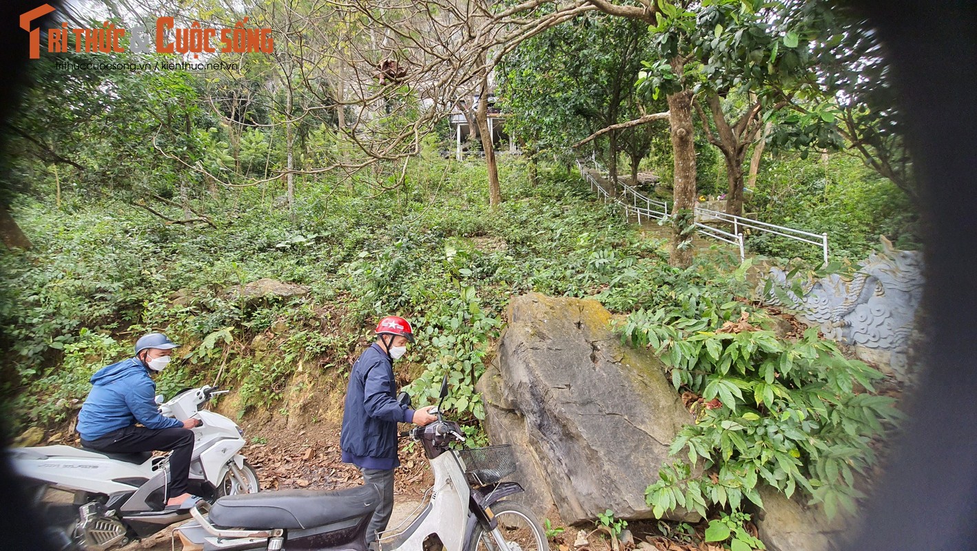 Bach xa khong lo, toan than trang muot xuat hien o Ninh Binh-Hinh-2