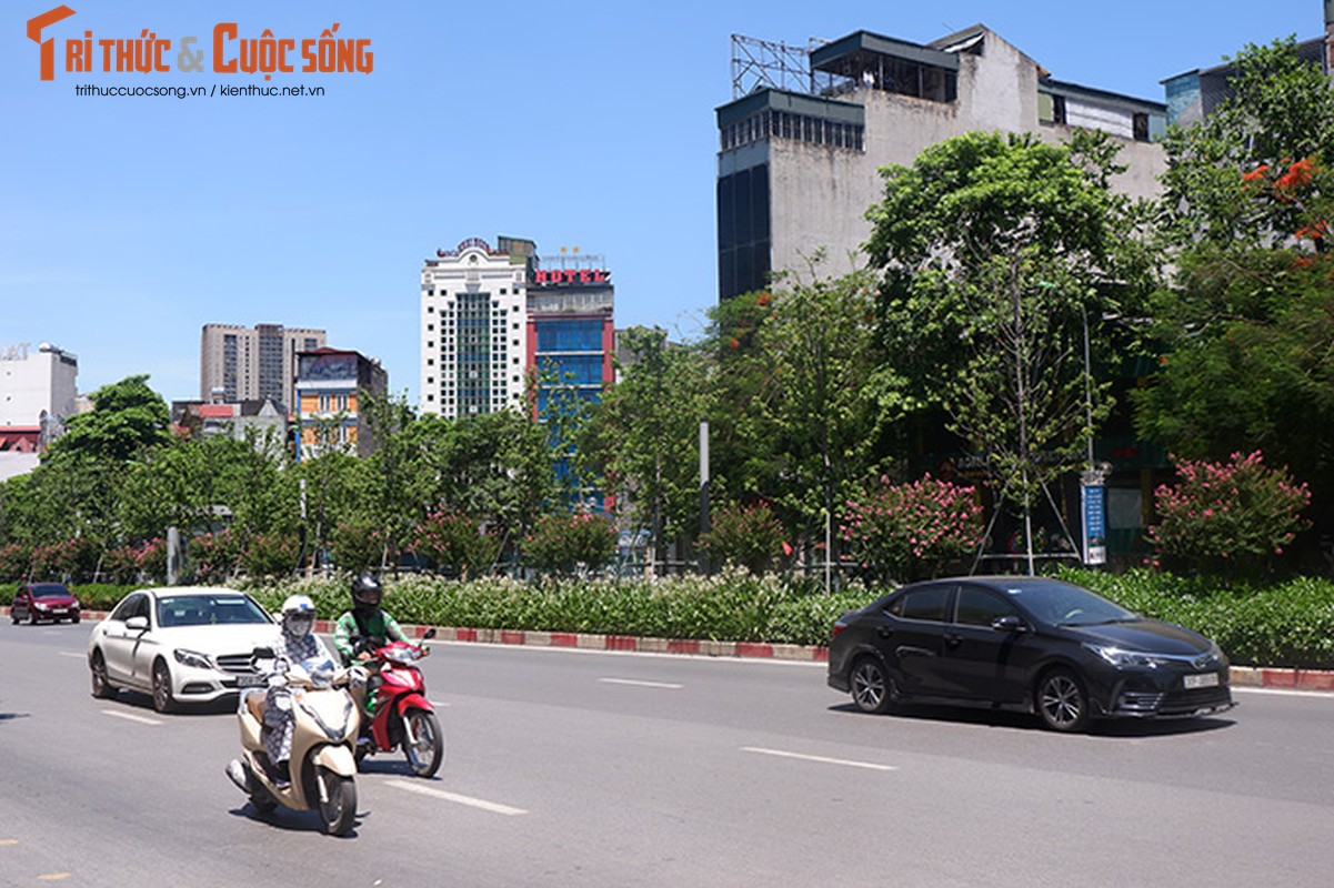 Phong la do bong tro la xanh tuoi giua cai nong gan 40 do C o Ha Noi-Hinh-9