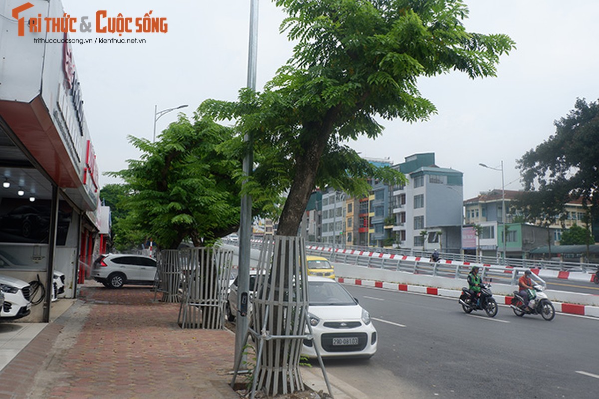 Hang sua tien ty o Ha Noi phai truyen dich de cuu van su song-Hinh-5