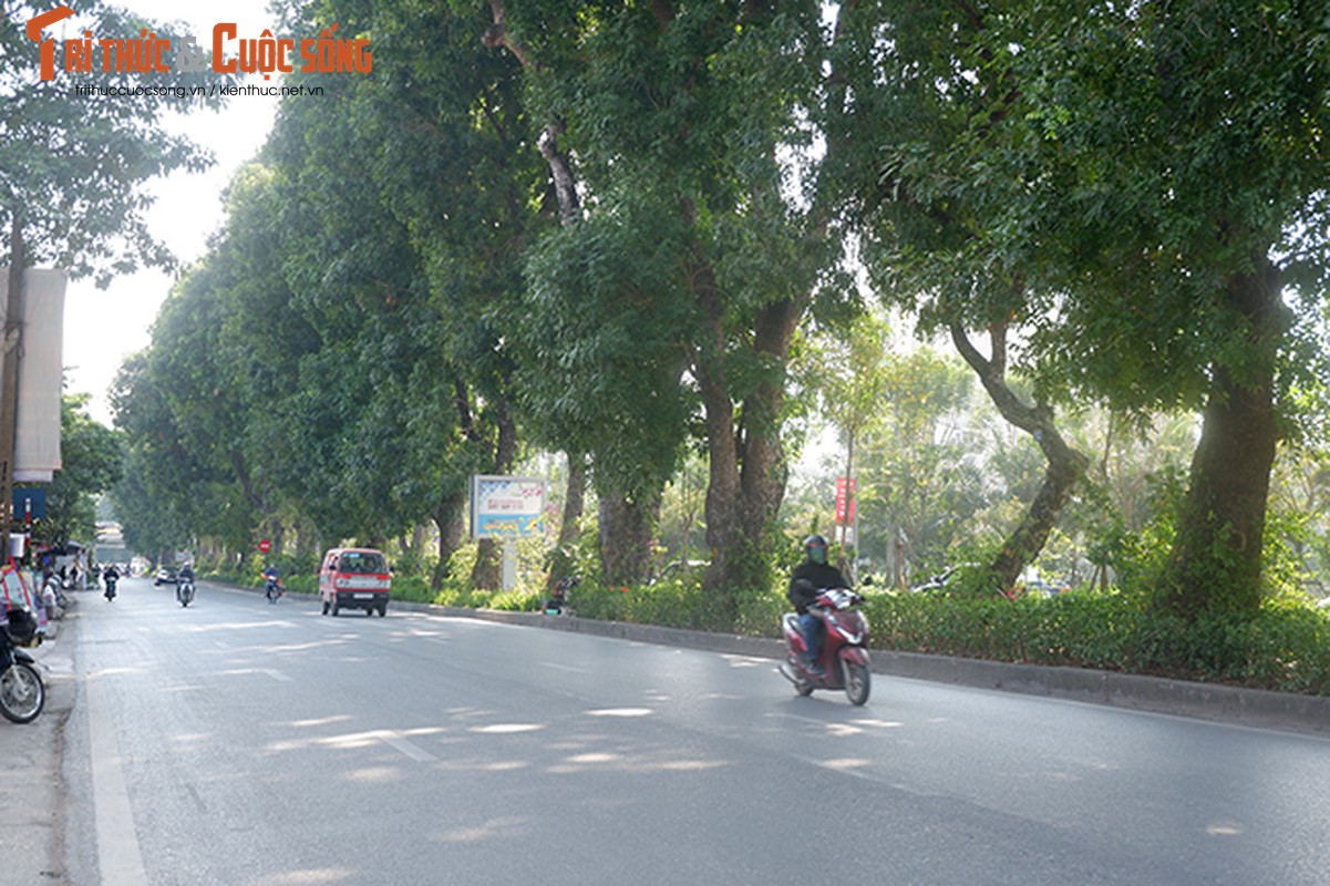 Duong pho Ha Noi bot ngot ngat trong ngay dau nghi Tet duong lich-Hinh-9