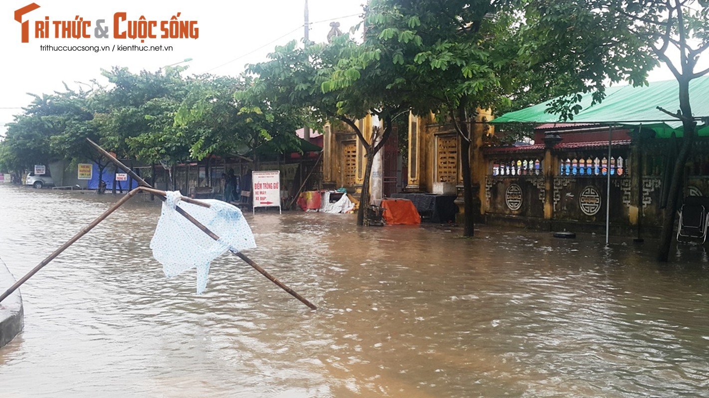 Anh: TP Hai Duong &quot;thanh song&quot; sau con mua lon-Hinh-7