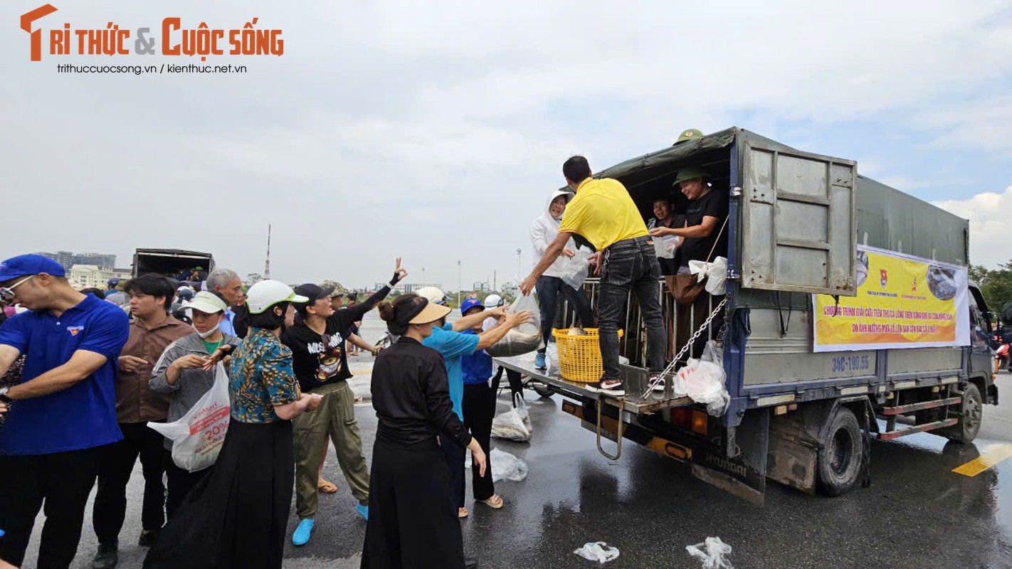 View - 	Hải Dương Người dân xếp hàng dài giải cứu tiêu thụ cá lồng