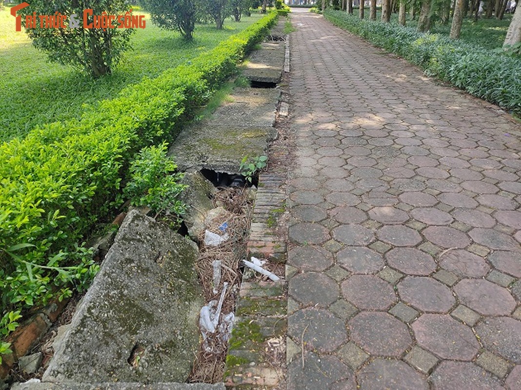 Ha Noi: Can canh cong vien Bac Linh Dam xap xe, de hoang phe-Hinh-3