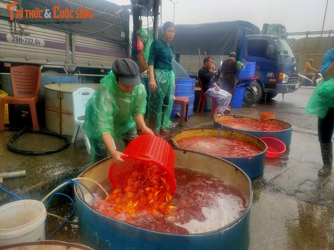 View - 	Chợ cá Yên Sở  "lo ế" trước ngày cúng ông Công, ông Táo