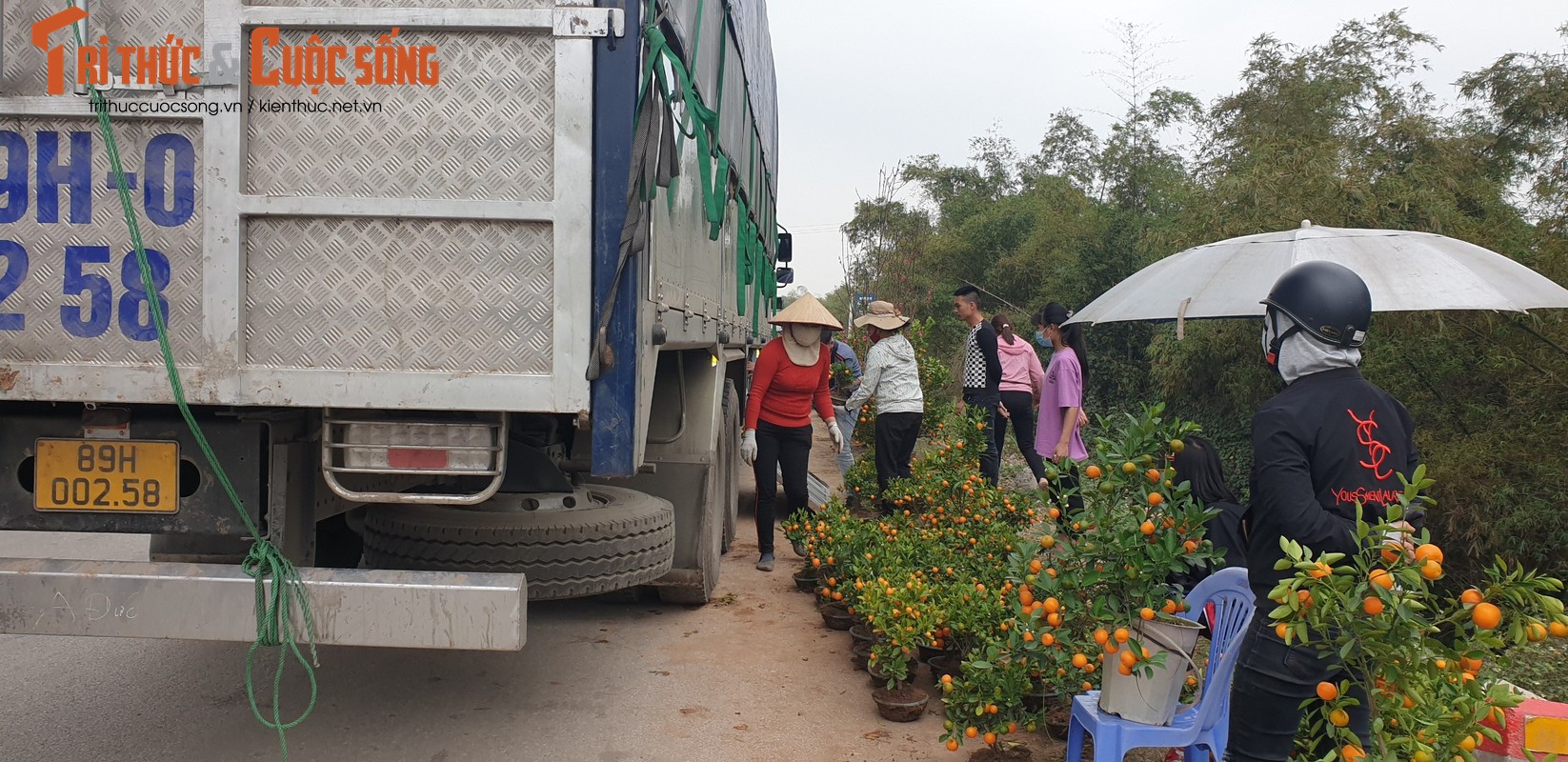 Vua quat lon nhat mien Bac khon kho vi bi thuong lai “bung” hang-Hinh-12