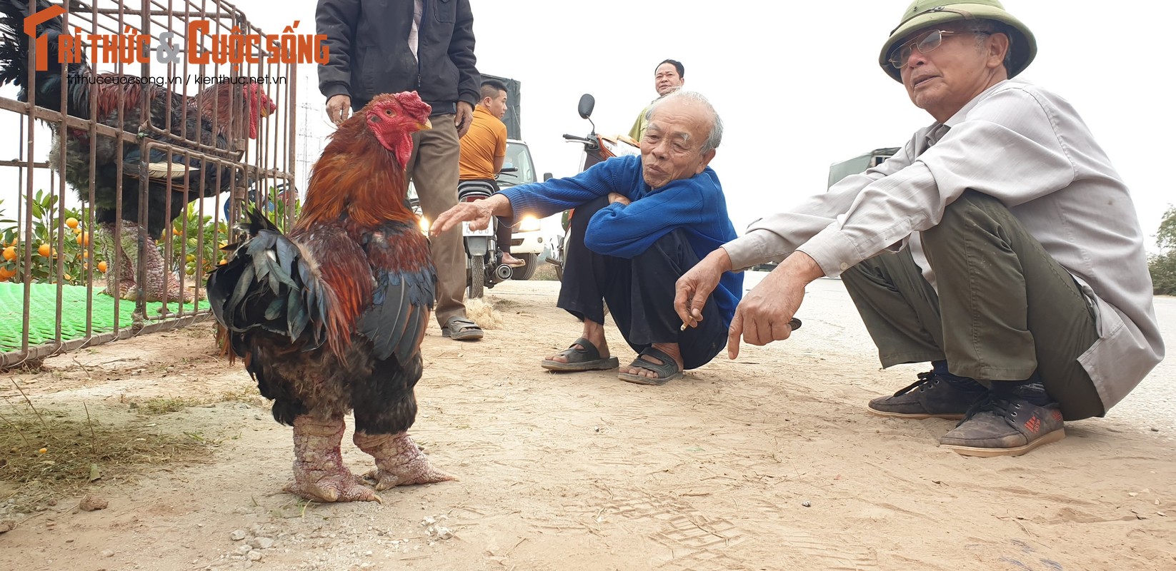 Vua quat lon nhat mien Bac khon kho vi bi thuong lai “bung” hang-Hinh-14