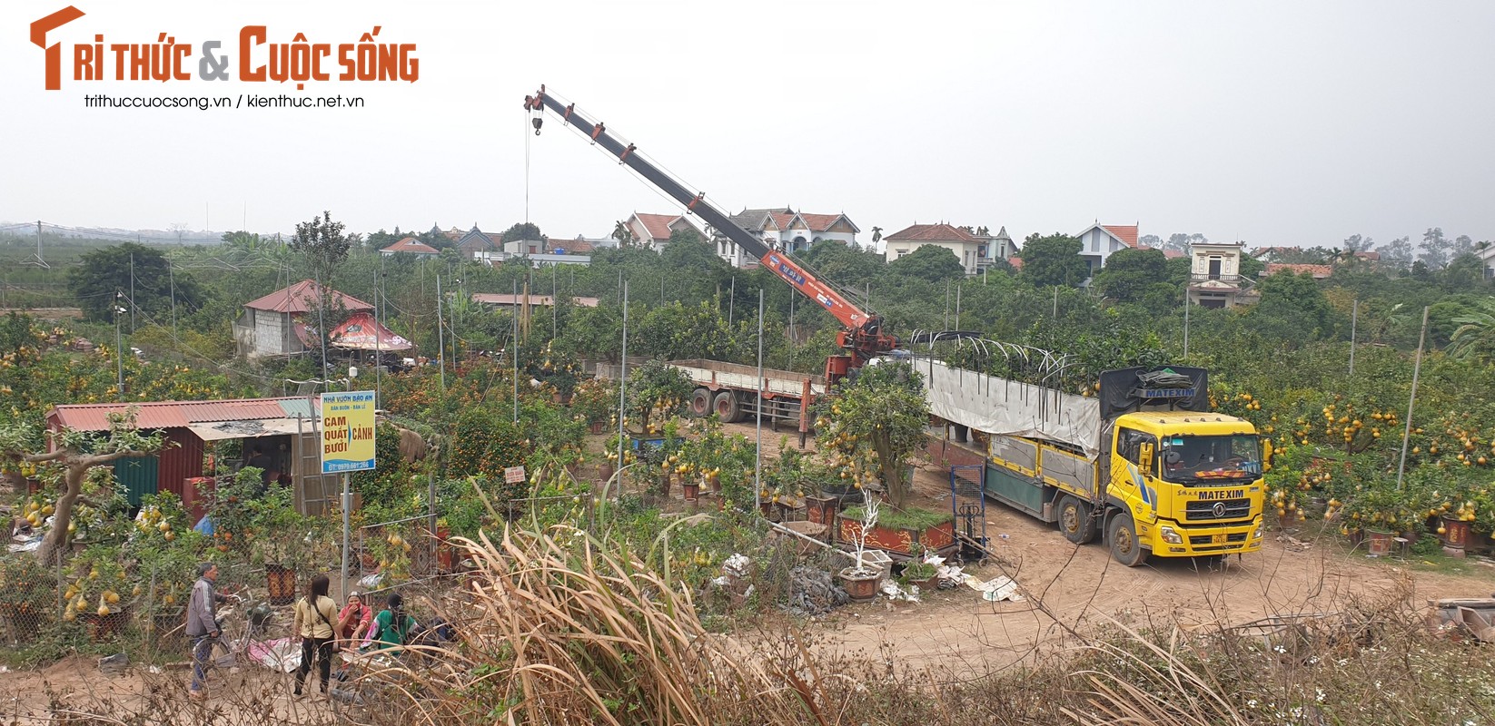 Vua quat lon nhat mien Bac khon kho vi bi thuong lai “bung” hang