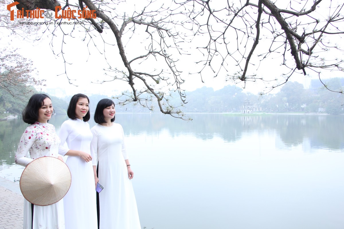 Quoc te Phu nu 8/3: Net dep nu can bo, nhan vien VUSTA trong ta ao dai-Hinh-3