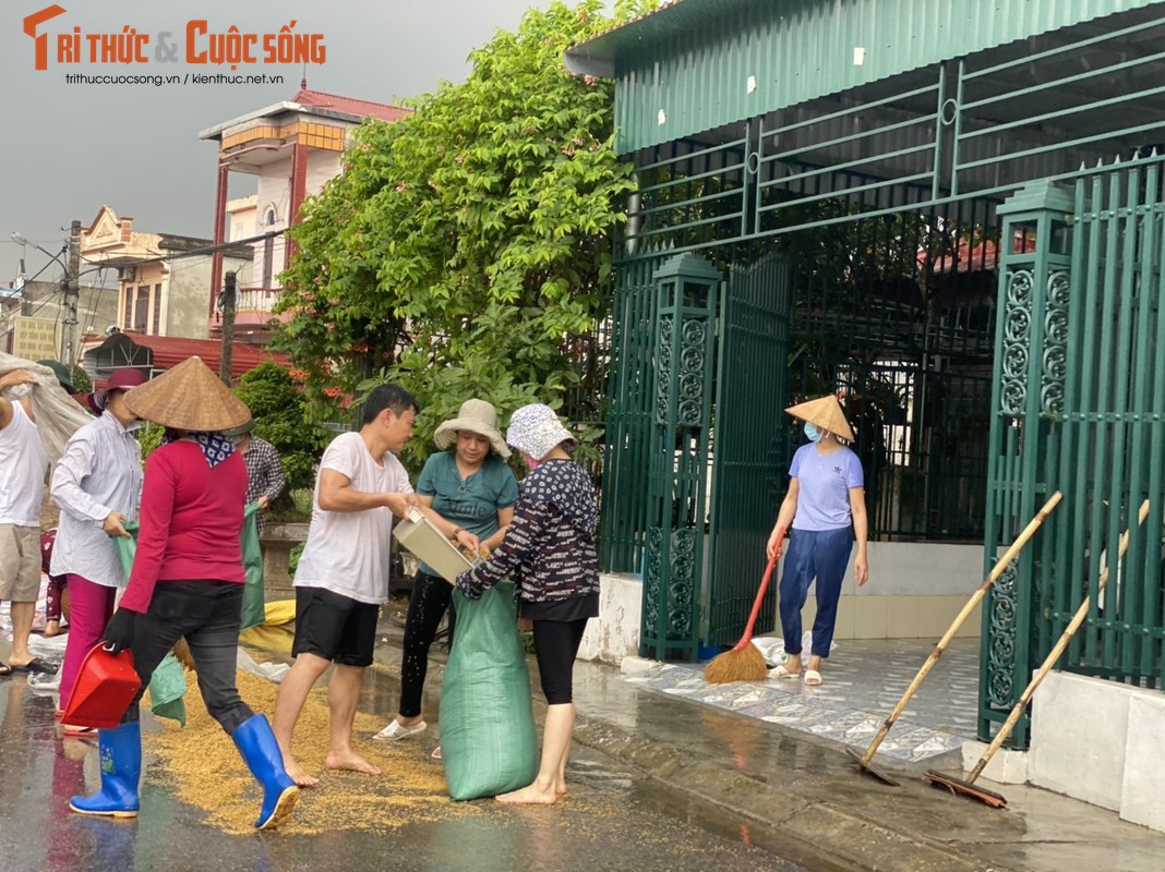 Nong dan Hai Hau “khoc rong” vi  thoc lua phoi ngoai duong ngap ngua trong mua-Hinh-8