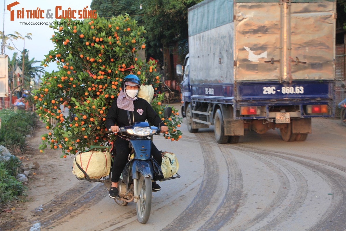 “Thu phu” quat Van Giang tat bat nho goc di tinh-Hinh-15