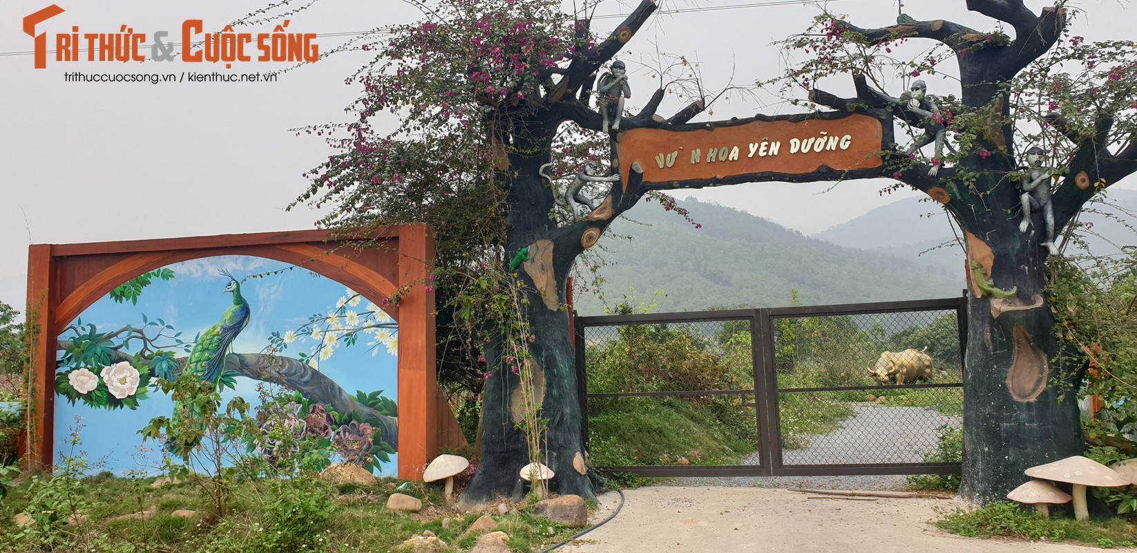Quang Ninh: Vuon hoa ho Yen Duong xay dung khong phep-Hinh-2