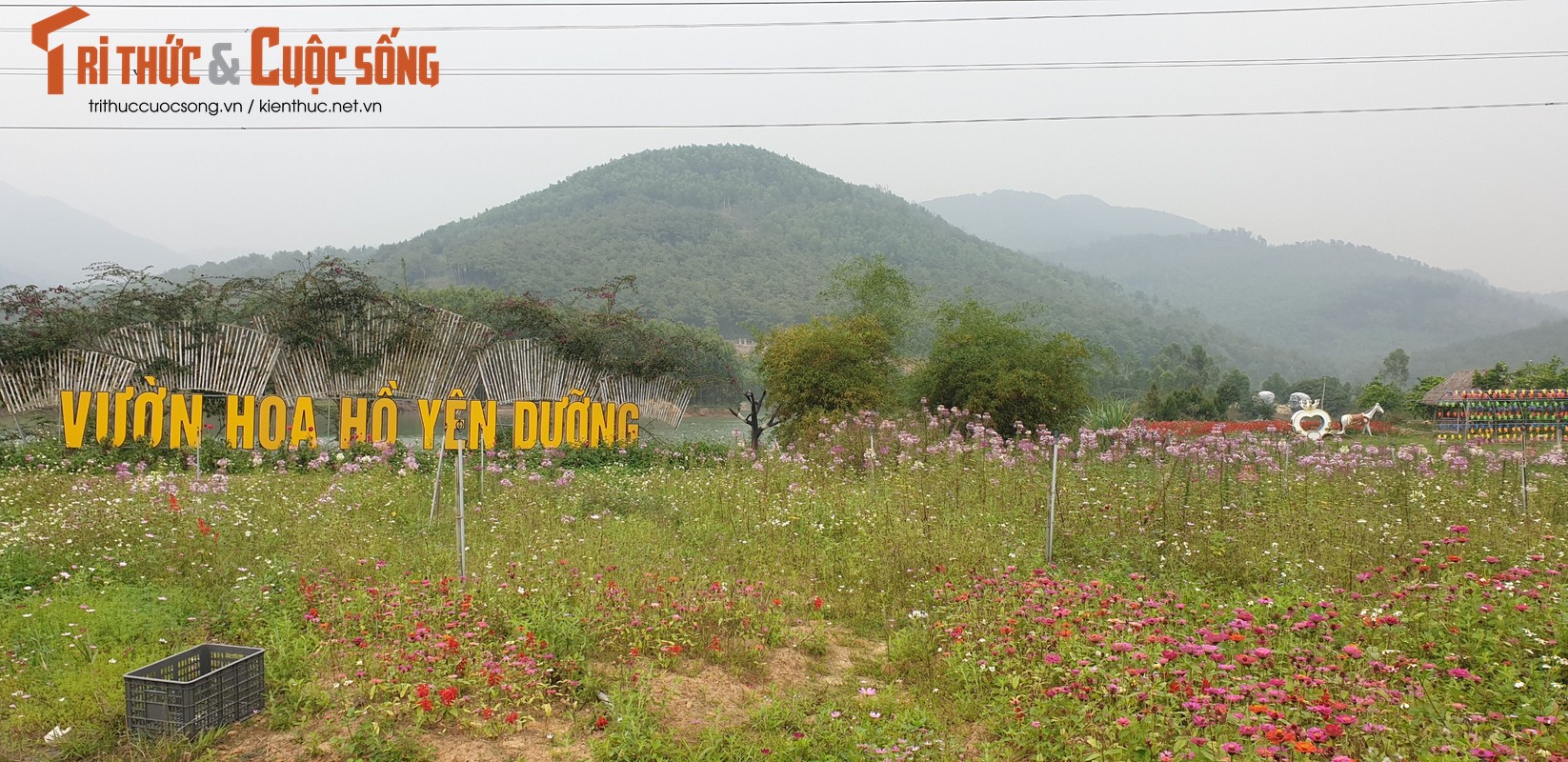 Quang Ninh: Vuon hoa ho Yen Duong xay dung khong phep-Hinh-3