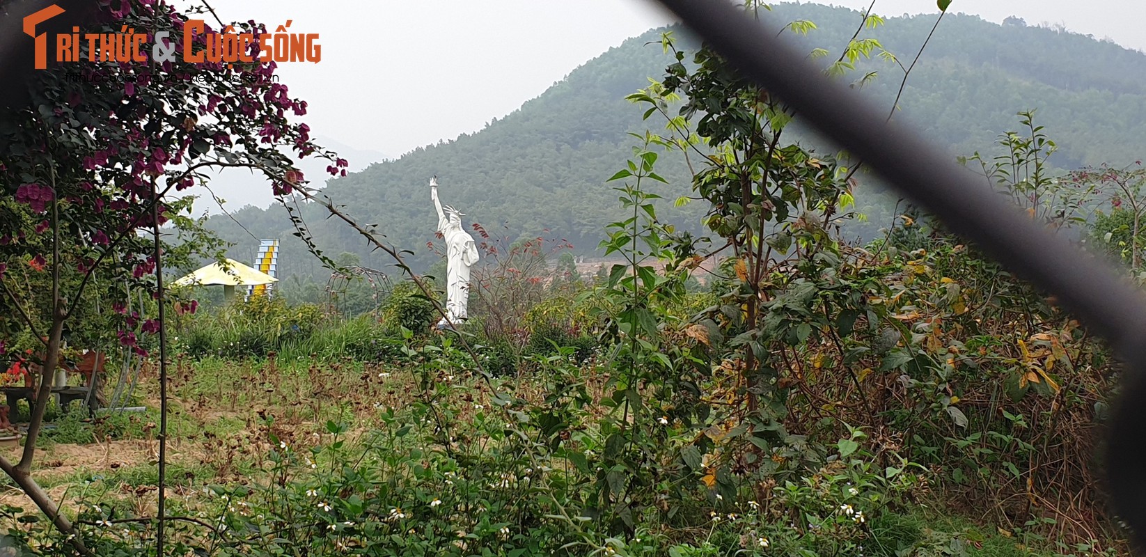 Quang Ninh: Vuon hoa ho Yen Duong xay dung khong phep-Hinh-4