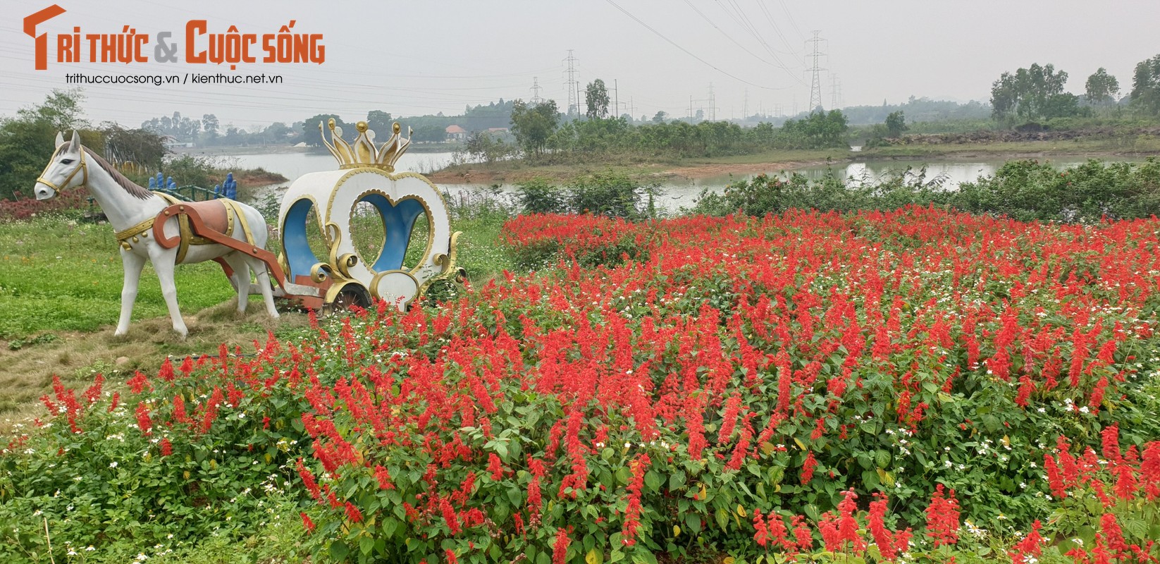 Quang Ninh: Vuon hoa ho Yen Duong xay dung khong phep-Hinh-7