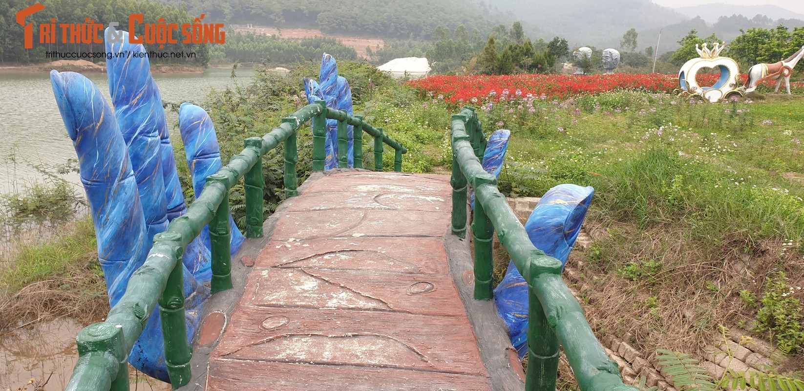 Quang Ninh: Vuon hoa ho Yen Duong xay dung khong phep-Hinh-8