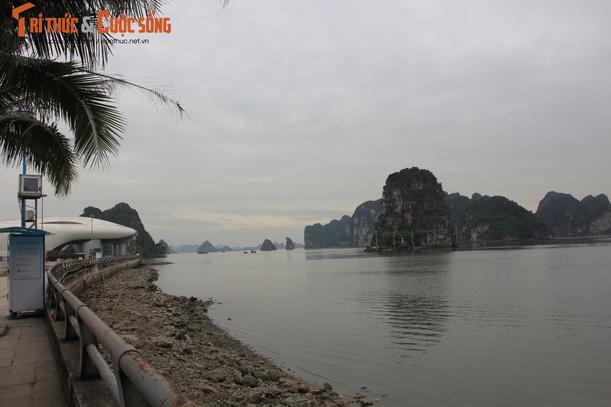 Nhung nui da tren vinh Ha Long bi “chang” dien chieu sang gio sao?-Hinh-7