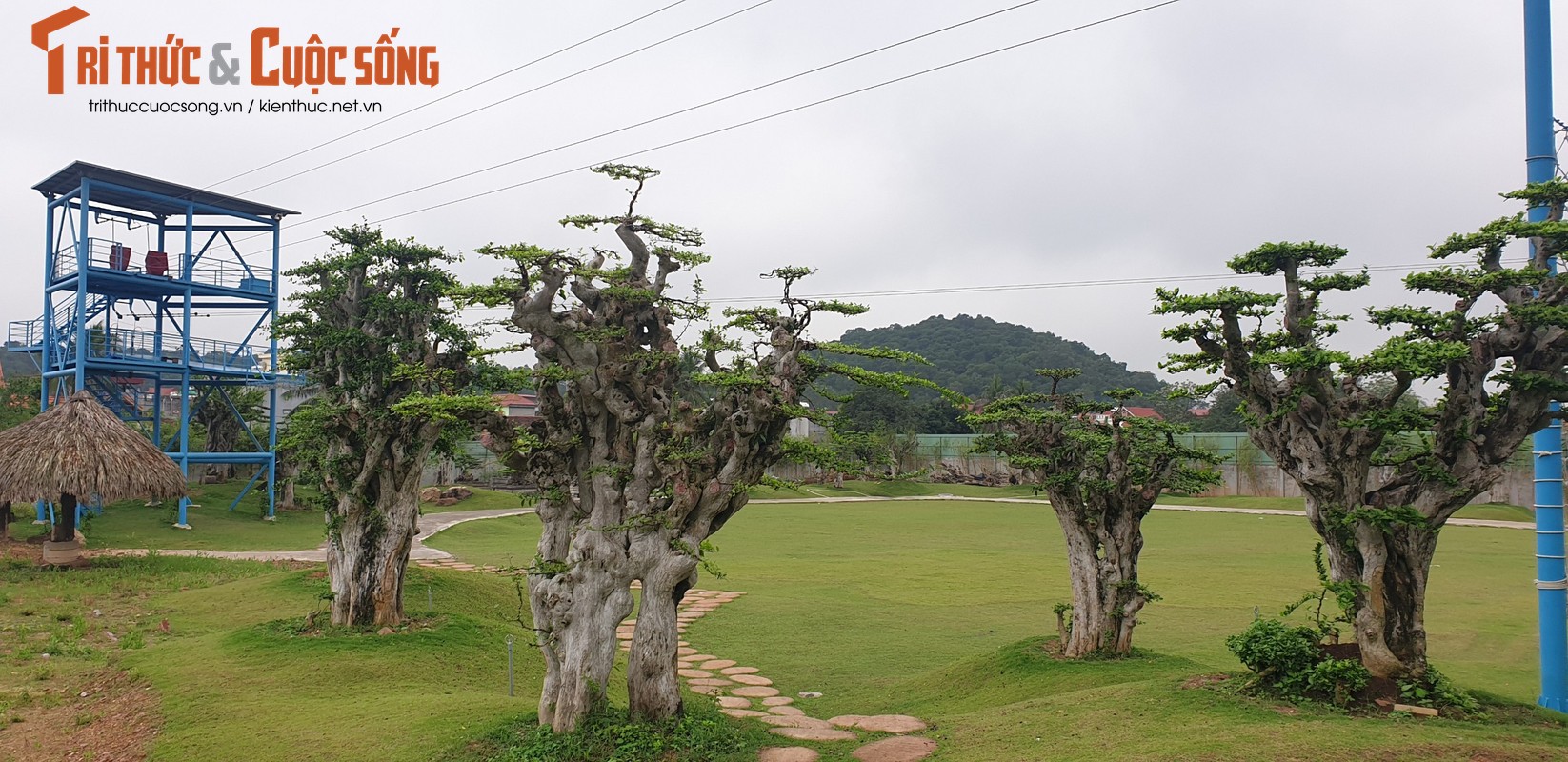 Can canh khu trai nghiem khong phep Big Sun o Hai Phong-Hinh-6