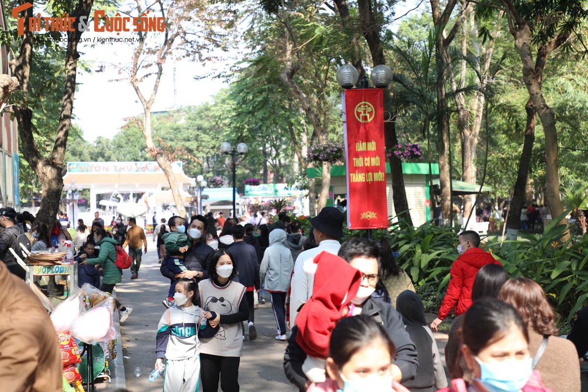 Hang ngan nguoi do ve vuon thu Ha Noi trong ngay dau nam moi-Hinh-11