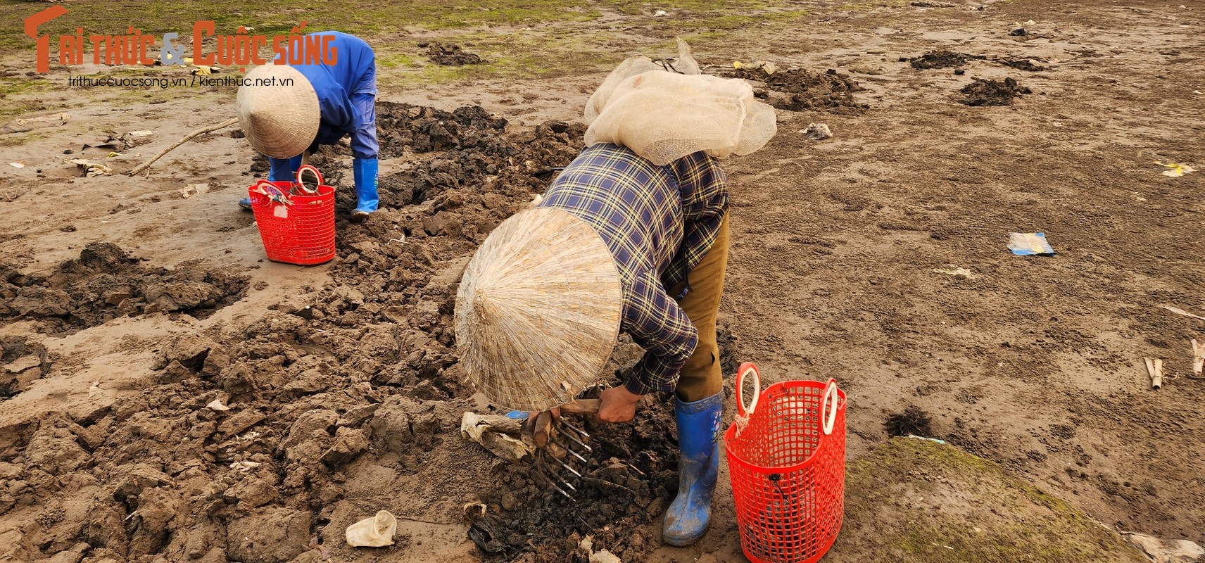 Vat va nghe cong lung di mot  