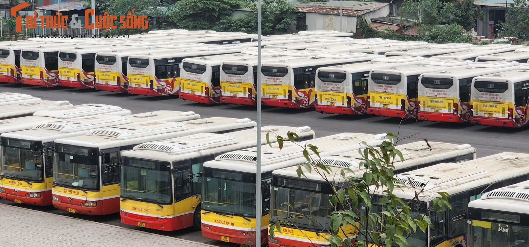 Tram trung chuyen 200 ty cua Transerco chua xay xong, xe buyt do la liet-Hinh-6